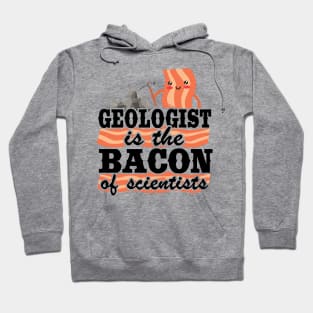 Geologist Is The Bacon Of Scientists Rock Collector Geology Hoodie